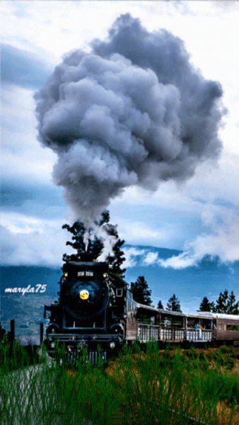 train cxq5jcw8