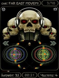 Скиинн Череп для TTPOD