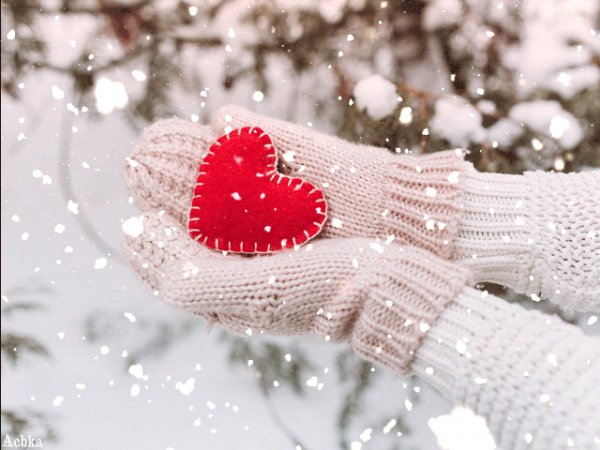 file_92495877