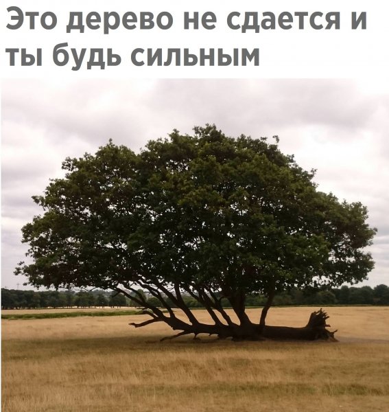 file_74215105