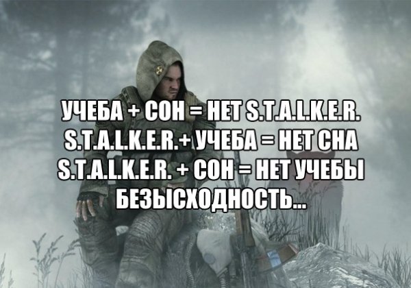 Учеба сон