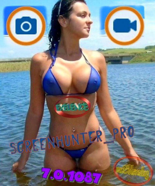 screenhunter pro 7.0.1087