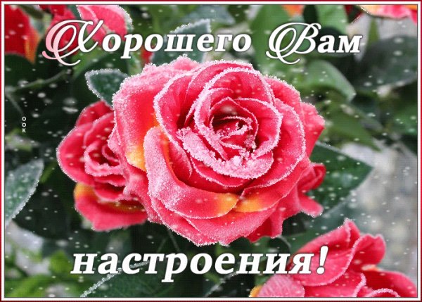 file_98758278