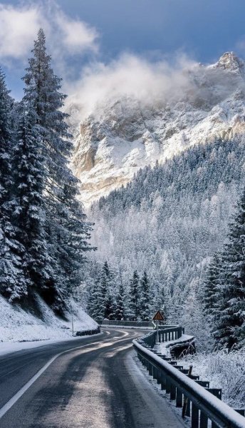 file_101735832