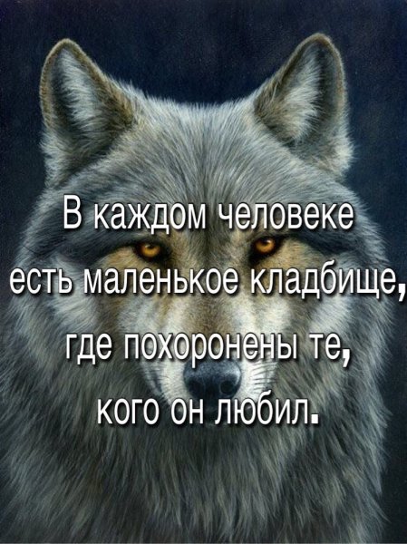 IMG 20220406 202925