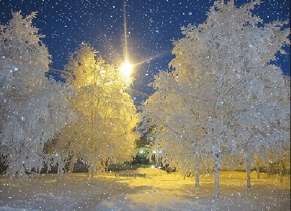 file_71961860