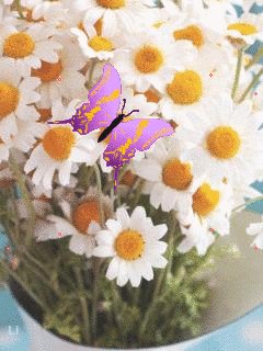 file_58047186