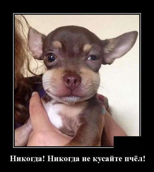 file_78334957