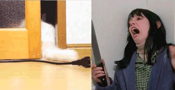 12 (1)