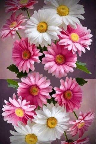file_97375770