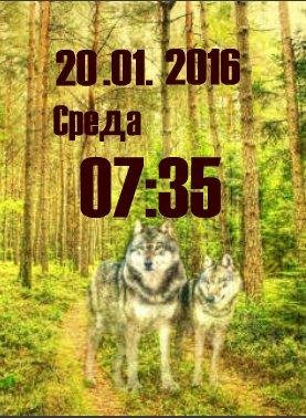 Волки