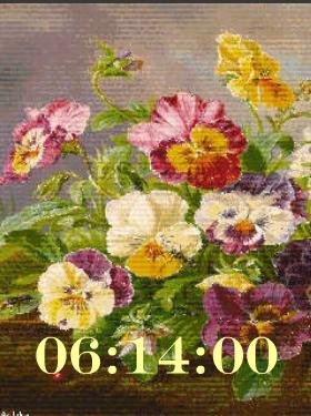 Цветы ани