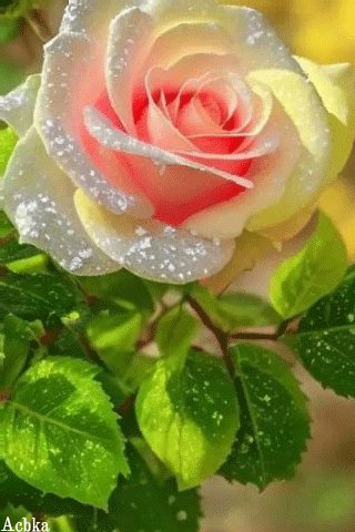 file_96959423