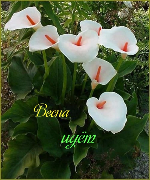 file_76757104