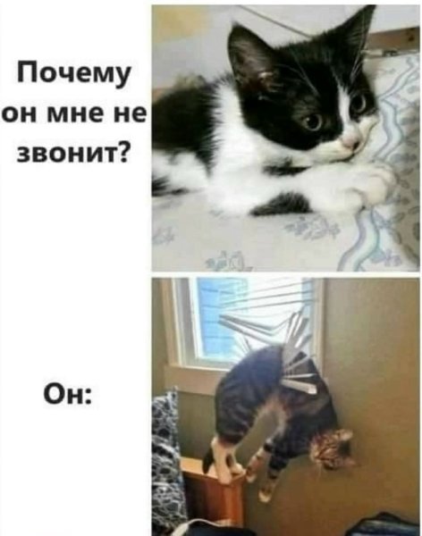 file_102504434