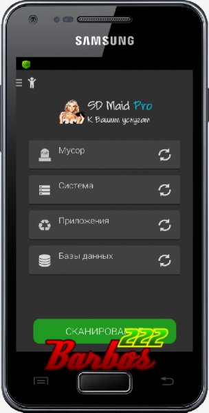 SD Maid Pro 3.1.4.7 gray blonde