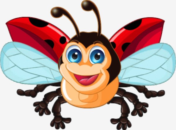49f6d00f5e6dc978dfd1c599d114e1b4