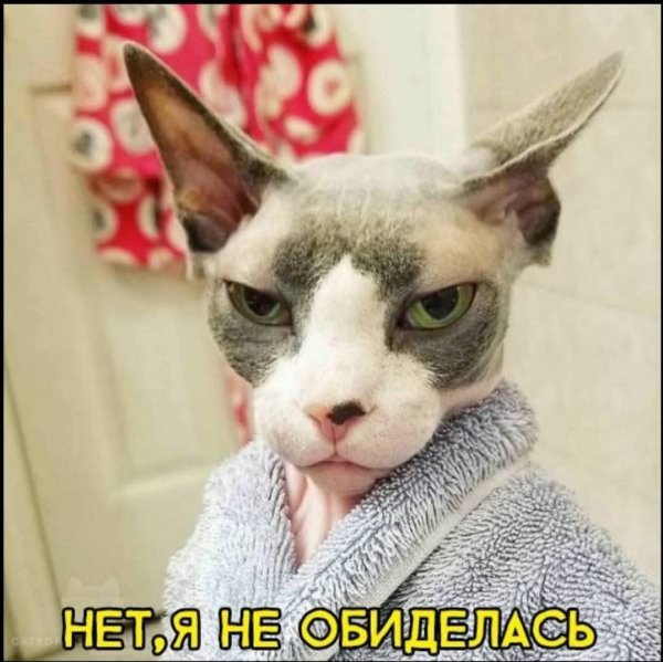 FB IMG 1775929251736