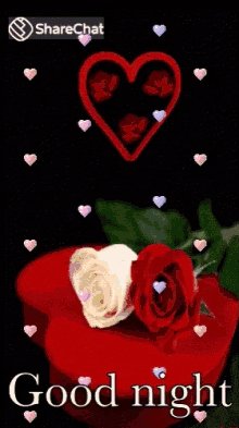 Good Night Rose Love Gif