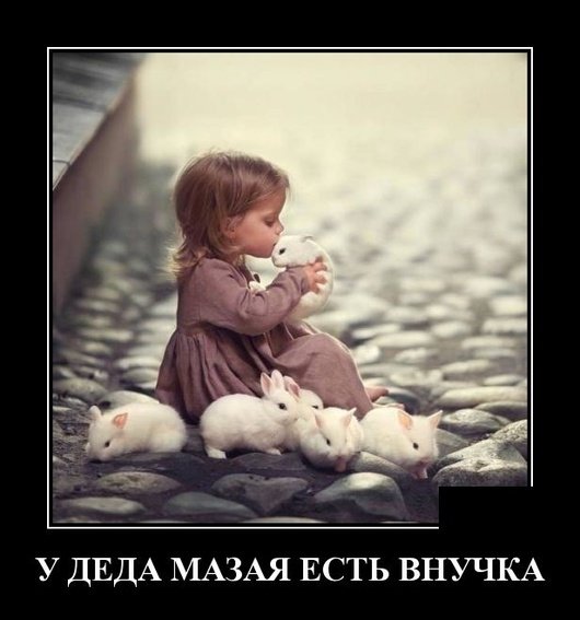 file_78392619