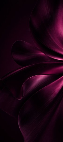 adapted 1080x2408 1776763551