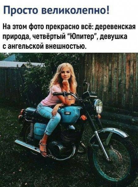 file_87401650