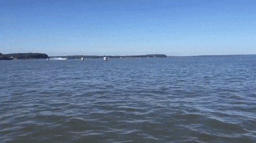 4ch Gif
