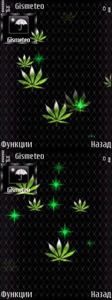 Cannabis