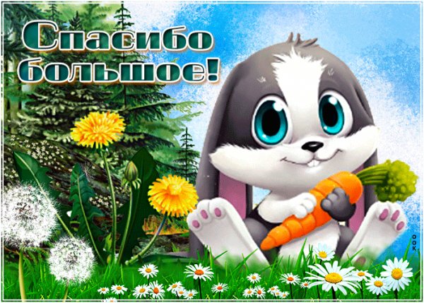 спасибо 096001