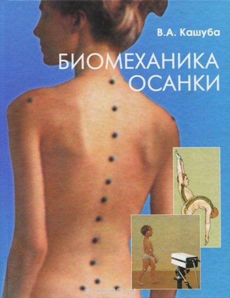 Биомеханика осанки