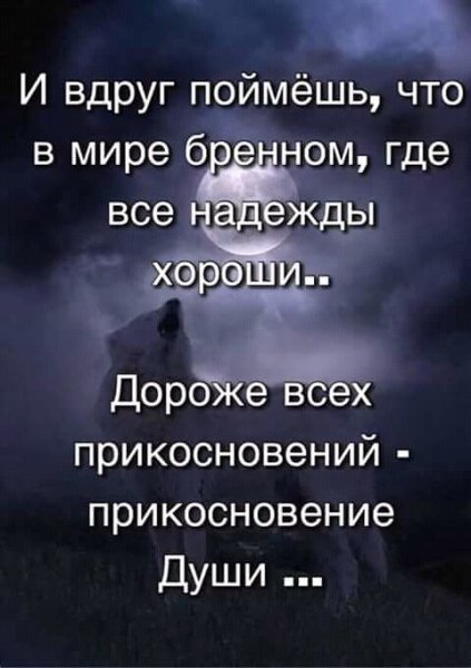 Пойми