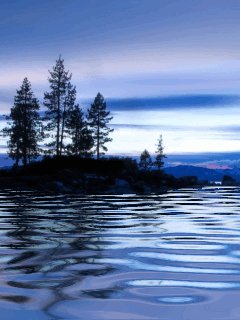 file_58376721