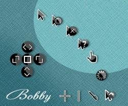 BoBBy