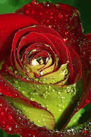 file_75616742