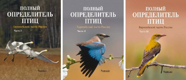 Полный определитель птиц европейск.части России. В 3х частях
