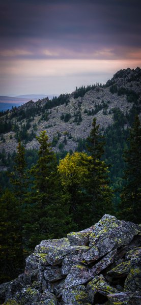 file_96735103