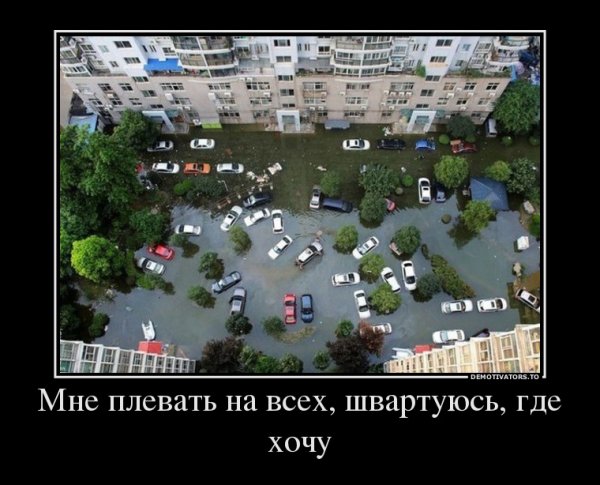 file_69698887