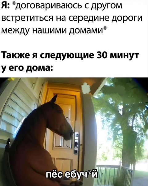IMG 20250522 205038 684
