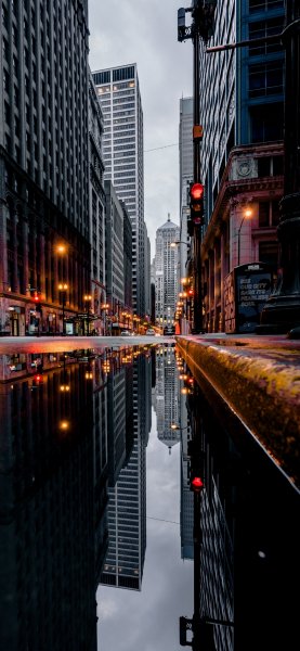 file_101673278