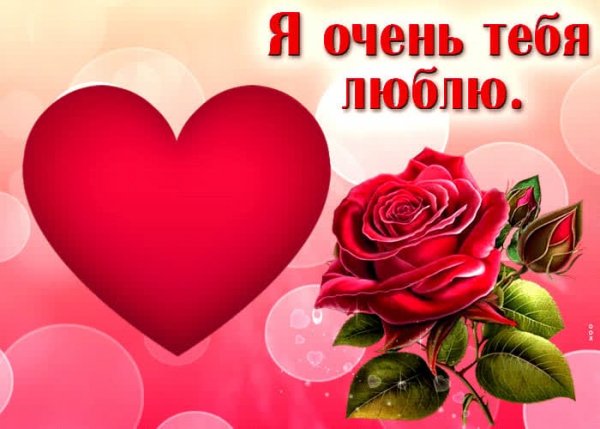 IMG-20250513-WA0025