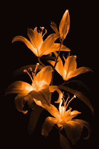 file_60206491