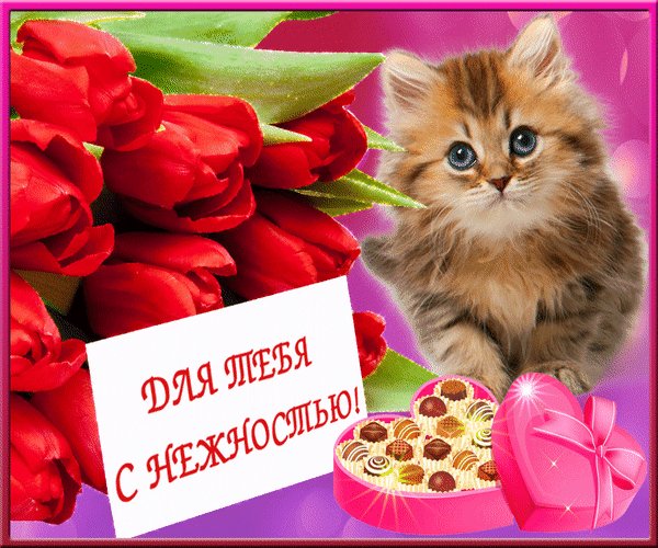 Для тебя с нежностью!
