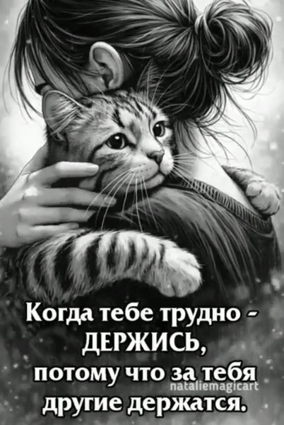 IMG 20260422 114740