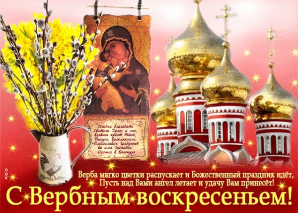 IMG 20230409 211359