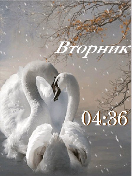 Лебединая верность
