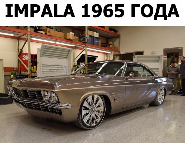 Y75689