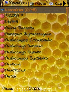 Скин
