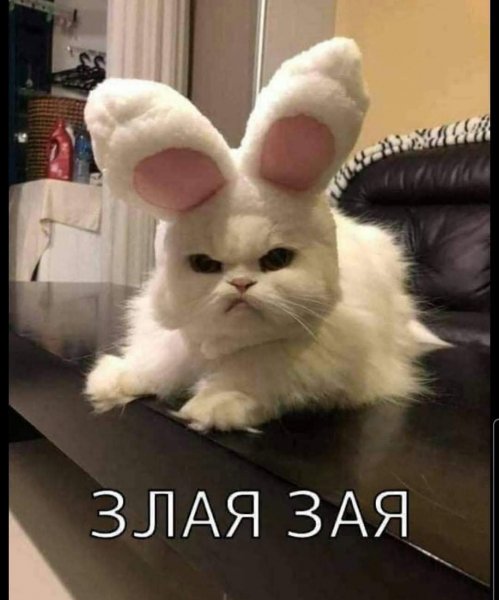 FB IMG 1778184502177