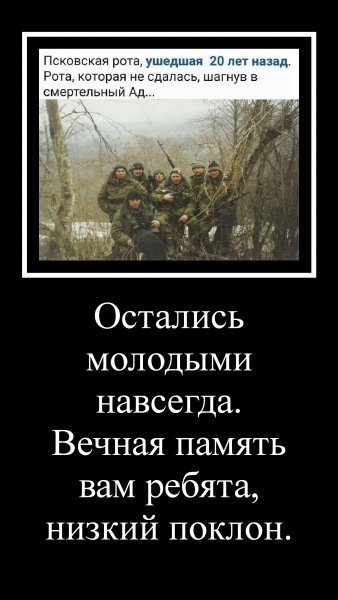 mydem 1533