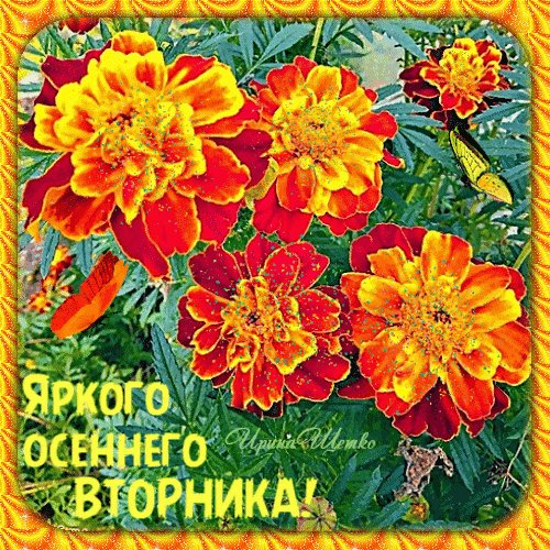 Анимированная открытка яркого осеннего
